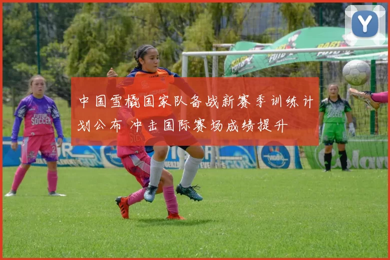 中国雪橇国家队备战新赛季训练计划公布 冲击国际赛场成绩提升