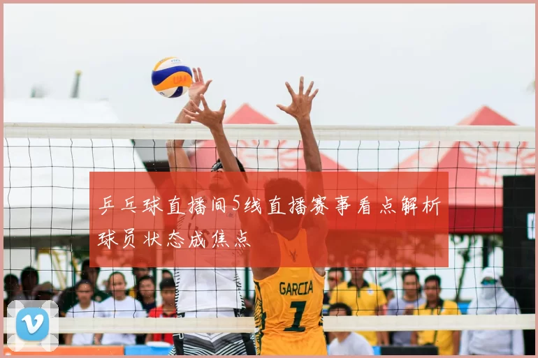 乒乓球直播间5线直播赛事看点解析球员状态成焦点