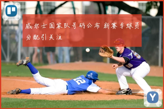 威尔士国家队号码公布 新赛季球员分配引关注