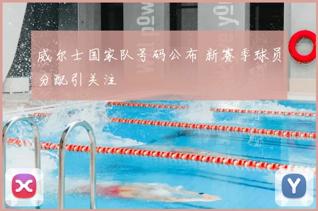 威尔士国家队号码公布 新赛季球员分配引关注