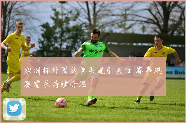 欧洲杯外围购票渠道引关注 赛事观赛需求持续升温